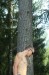 Иван Гуськов фотография #15 (источник - https://vk.com/id71181649)