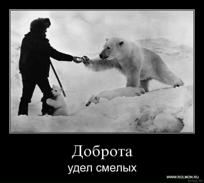 №119, Ксения Борисова, Киев №119, Ксения Борисова, Киев