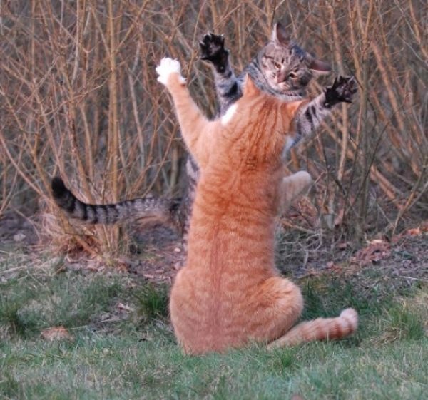 №4, Анна Ткаченко №4, Анна Ткаченко