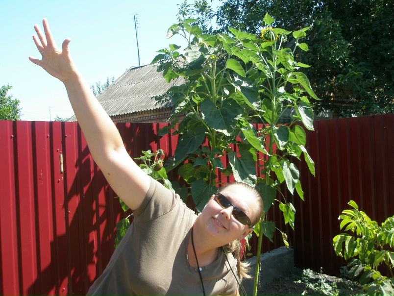 №3, Тамара Перепелятникова, 48 лет, Никополь №3, Тамара Перепелятникова, 48 лет, Никополь