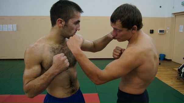 №5, Хитрый Кот №5, Хитрый Кот