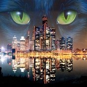 №35, Роман Жак, 33 года №35, Роман Жак, 33 года