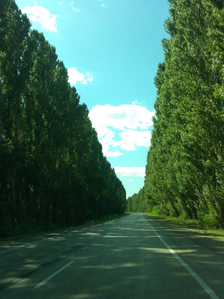 Саня Ермолаев | Frankfurt am Main