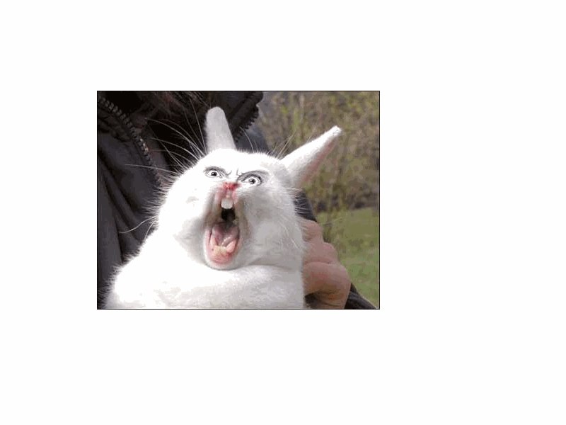 Вадим Великий | Стерлитамак