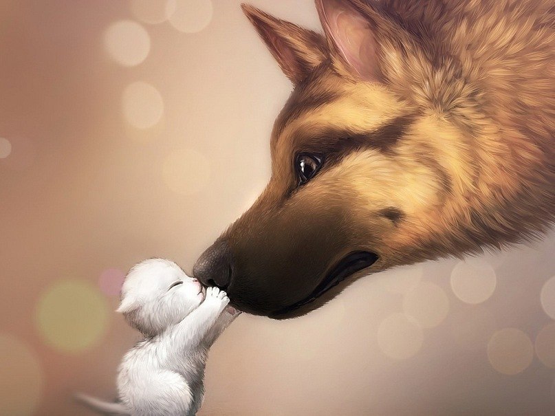 Татьяна Ефимова | 