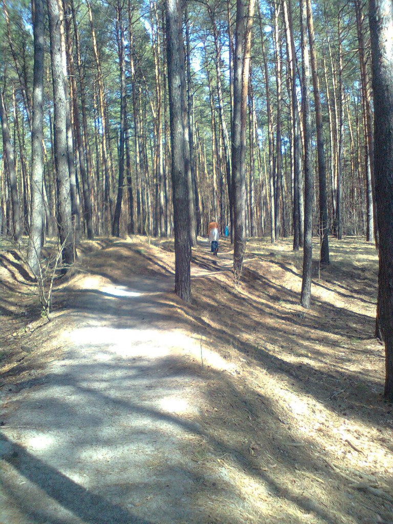 Наталья Корецкая | Полтава