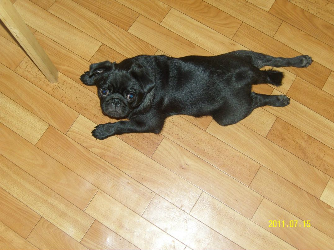 Мария Образцова | Тольятти