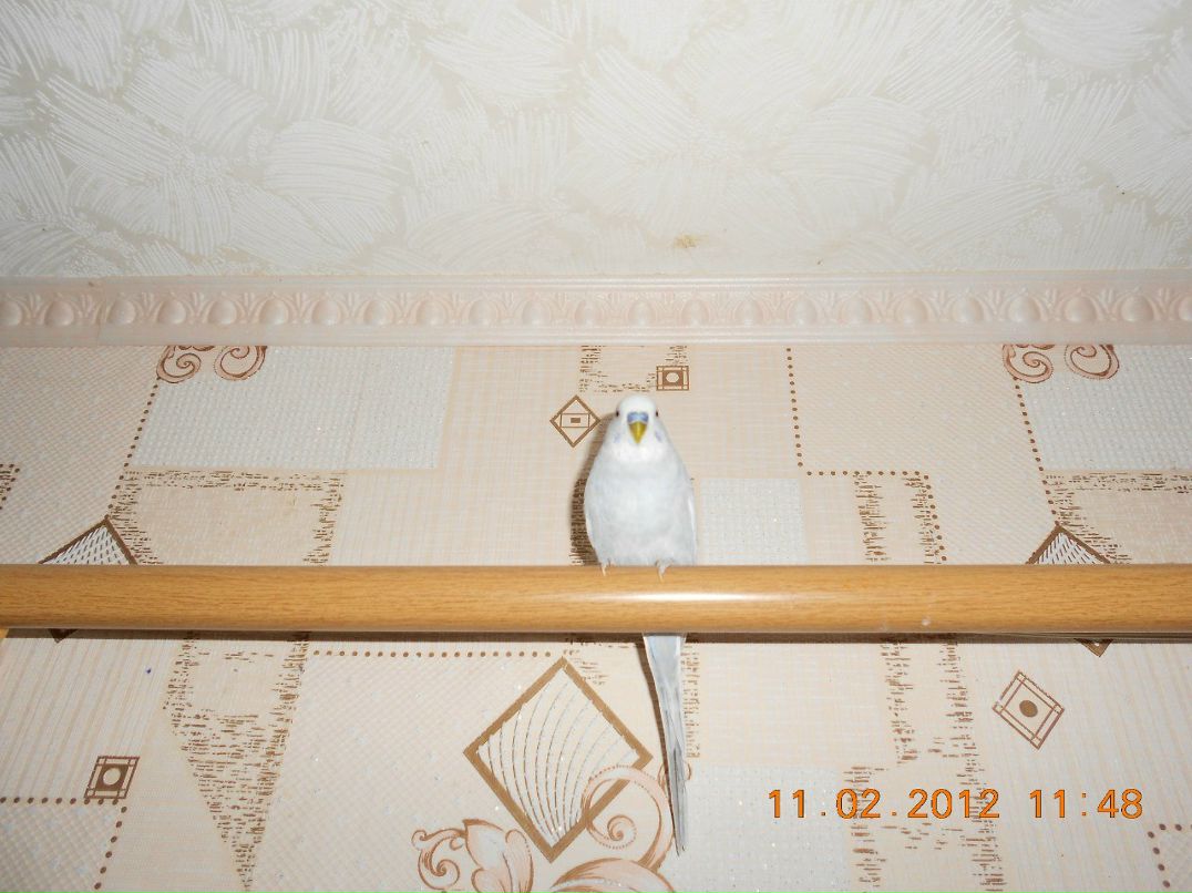 Игорь Пинчук | Онуфриевка