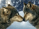 №19 Даша Руденок 18.10.1999: профиль, фото, статус - ВКонтакте