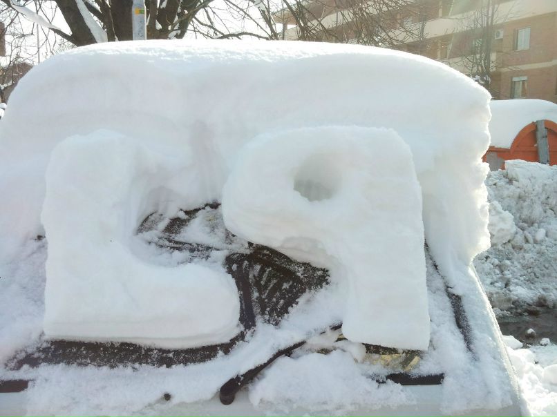 Valik Asevschi | Bologna