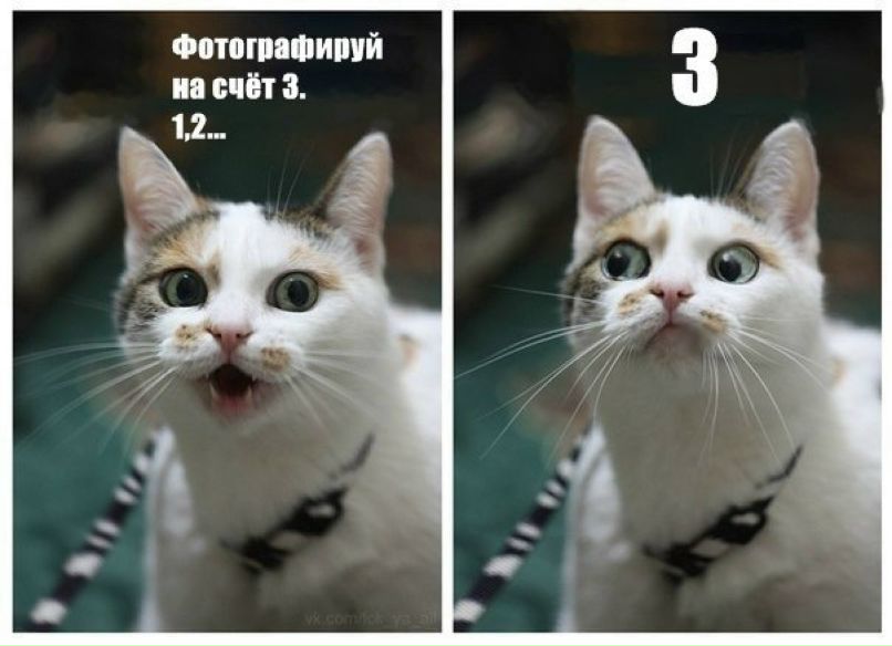 Олег Микулович | Москва