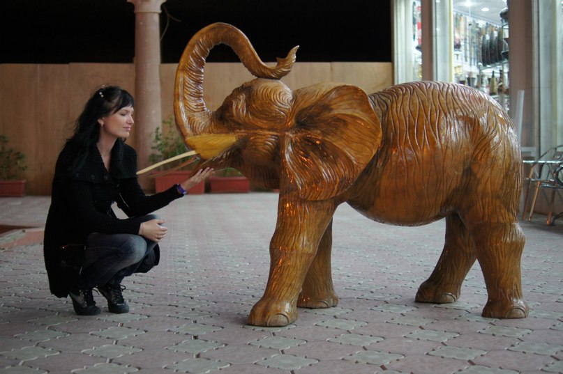 Юлия Князева | 