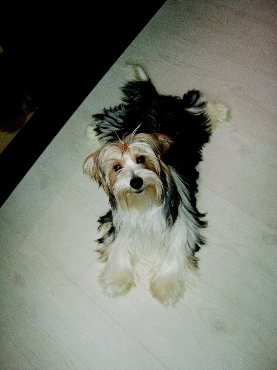 Дарья Усова | Челябинск