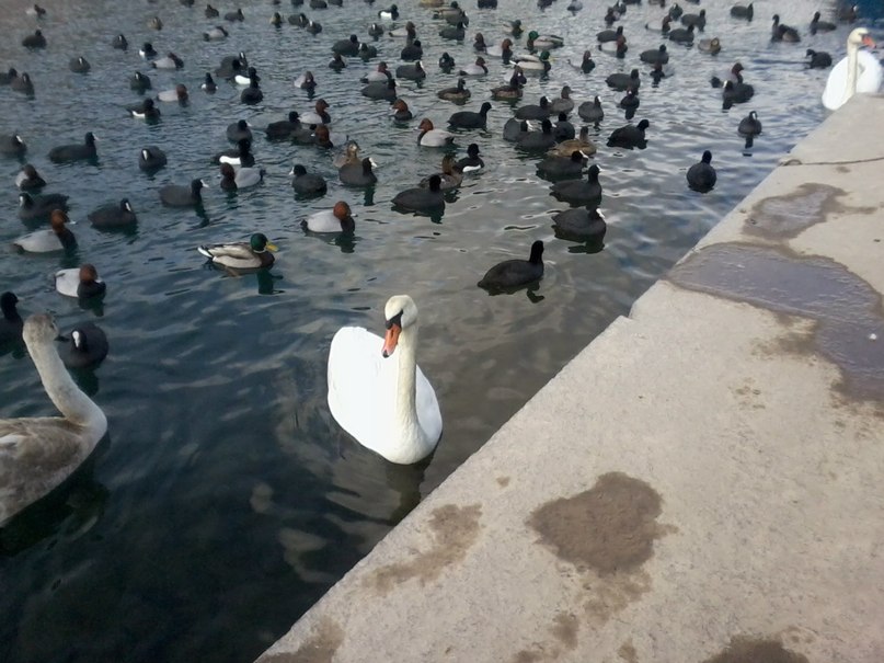 Оля Иванкова | Севастополь