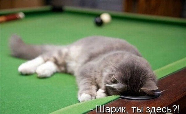 Дима Савич | Полтава