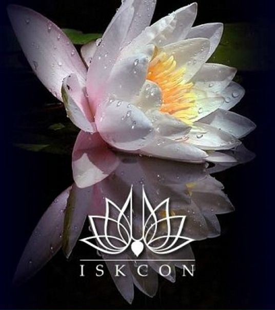 №21, Михаил Одинцов, 43 года, Минск №21, Михаил Одинцов, 43 года, Минск