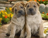 Машуля Ля ♥ | Чебоксары