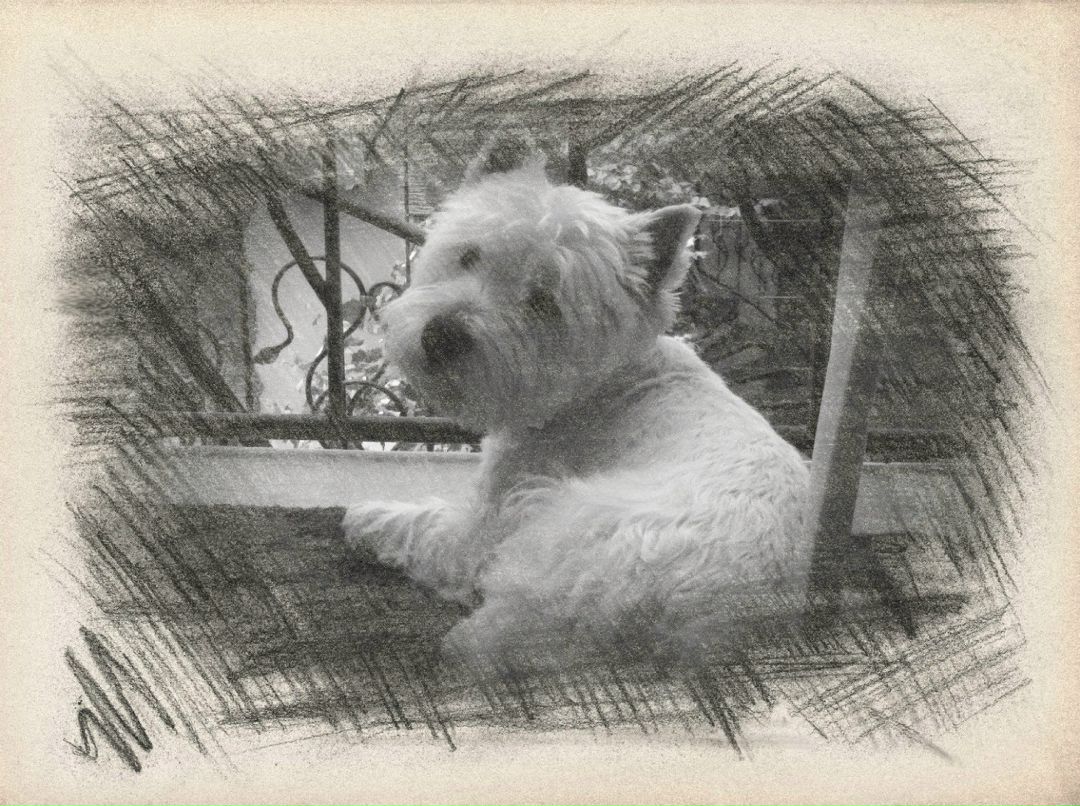 Валерия Вепренцева | Москва