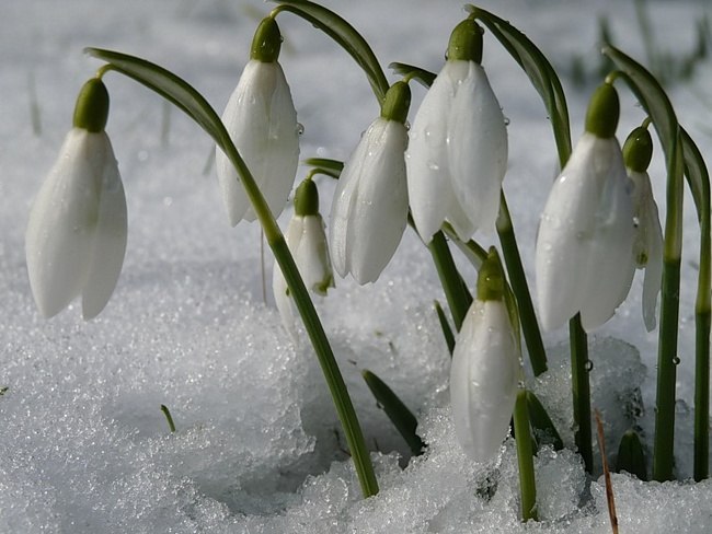 Наталья Кирюшина | Брянск