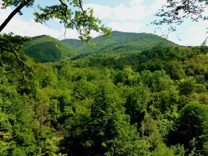 Юлия Подольская-Луканская | Ашкелон
