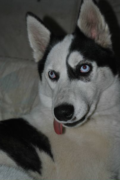 №58, Толик Пачев, 42 года, Одесса №58, Толик Пачев, 42 года, Одесса