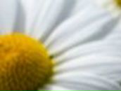 Мария Счастливая ♥ | Киев