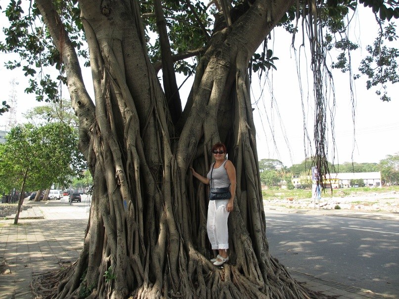 Валентина Мухина | Пологи