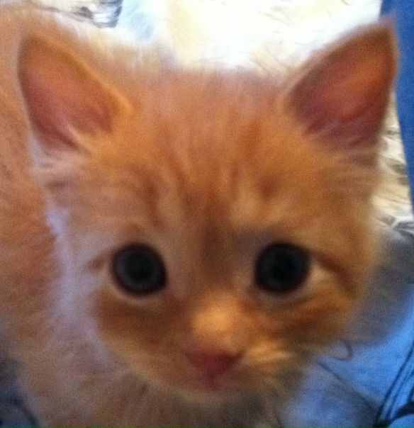 №73, Мария Никонова, Санкт-Петербург №73, Мария Никонова, Санкт-Петербург