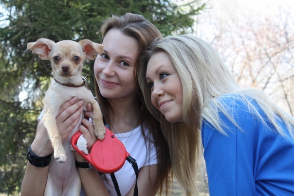 №41, Александра Богданова, Иркутск №41, Александра Богданова, Иркутск