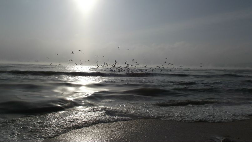 Дмитрий Липилин | Симферополь