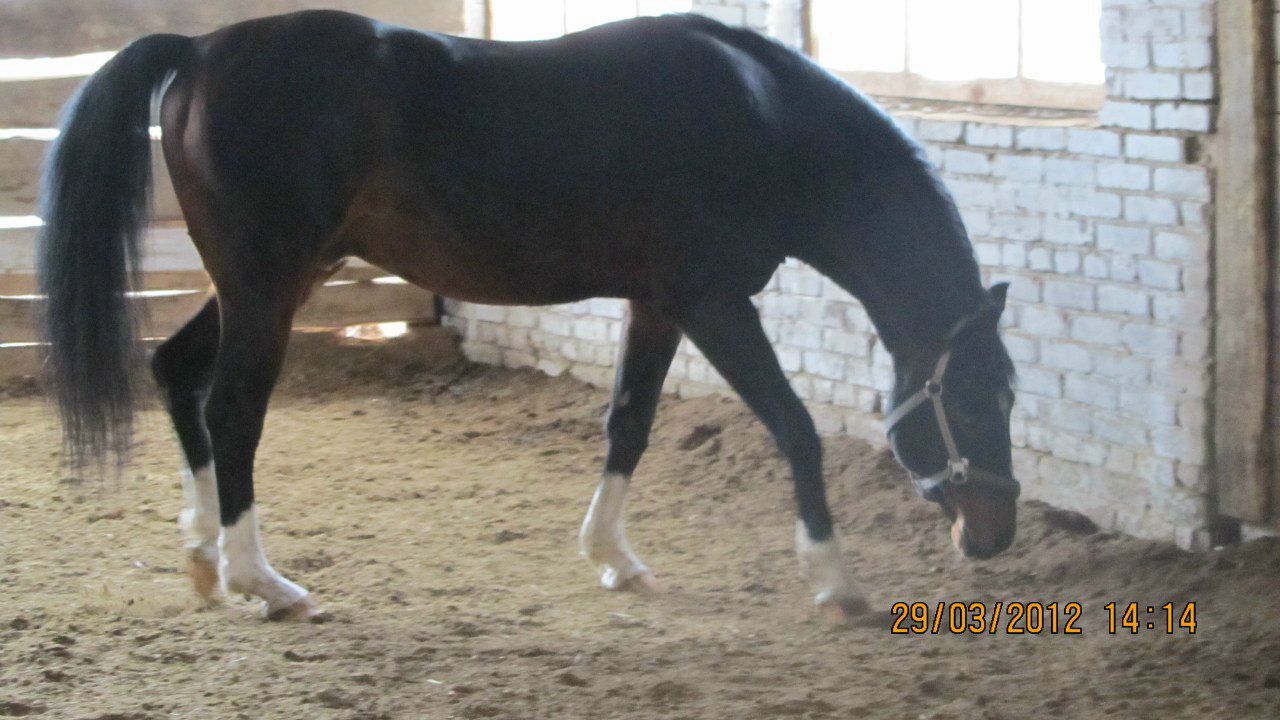 Лариса Юденкова | Санкт-Петербург