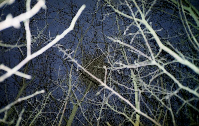 Adrozd Adrozd | Санкт-Петербург