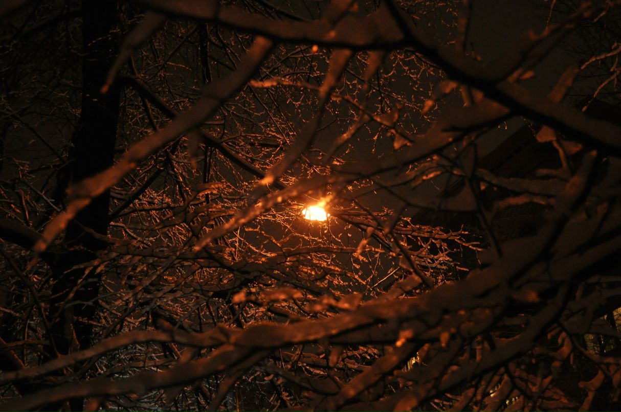 Виталий Пономарев | Москва