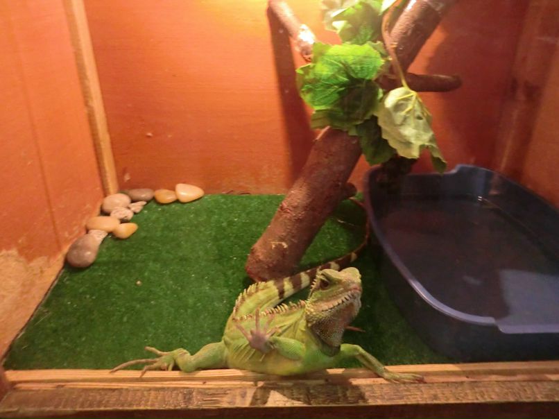 Просто Катя | Чайковский