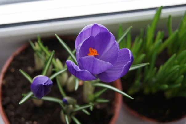 №61, Кристина Белько, 42 года, Санкт-Петербург, Россия №61, Кристина Белько, 42 года, Санкт-Петербург, Россия