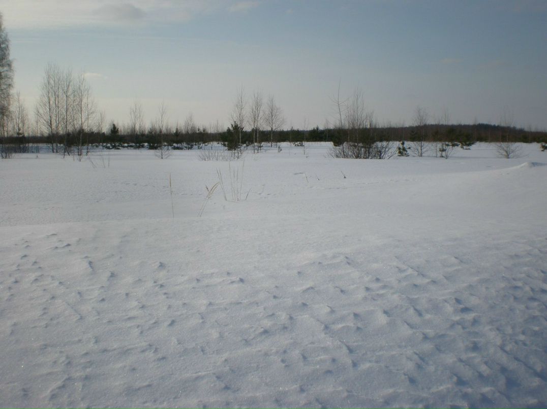 Санёк Тарасов \SaNr/ | Москва