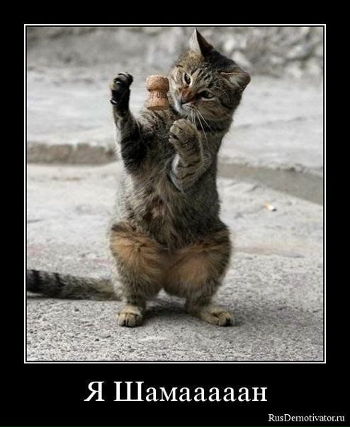 №12, Dmitry Ratman №12, Dmitry Ratman