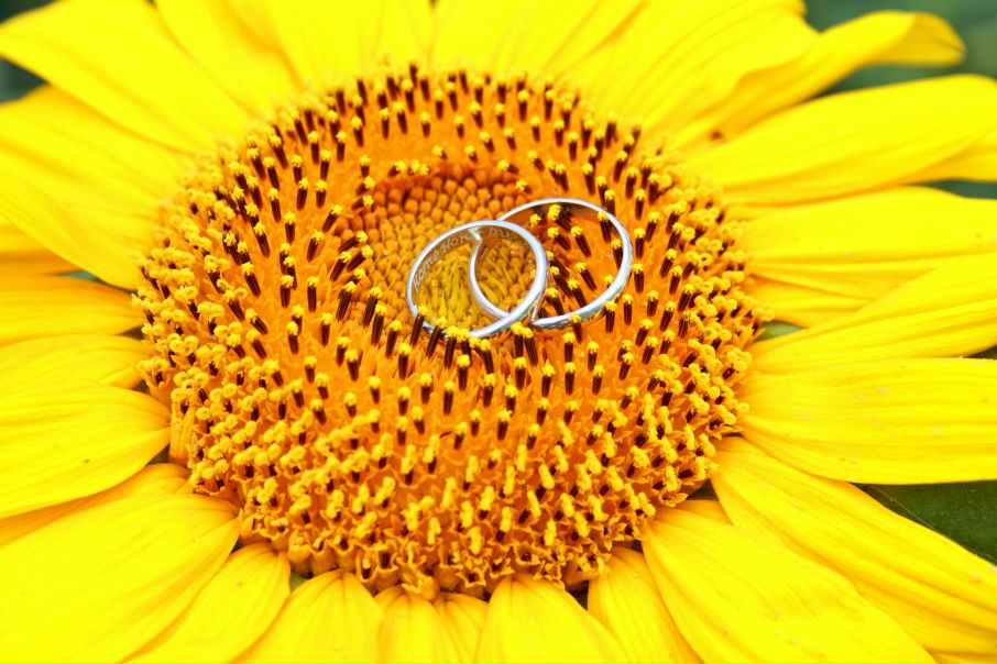 №48, Женя Пехова, Киев №48, Женя Пехова, Киев