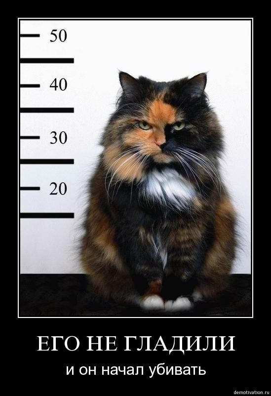 Екатериночка Шелест | Черновцы