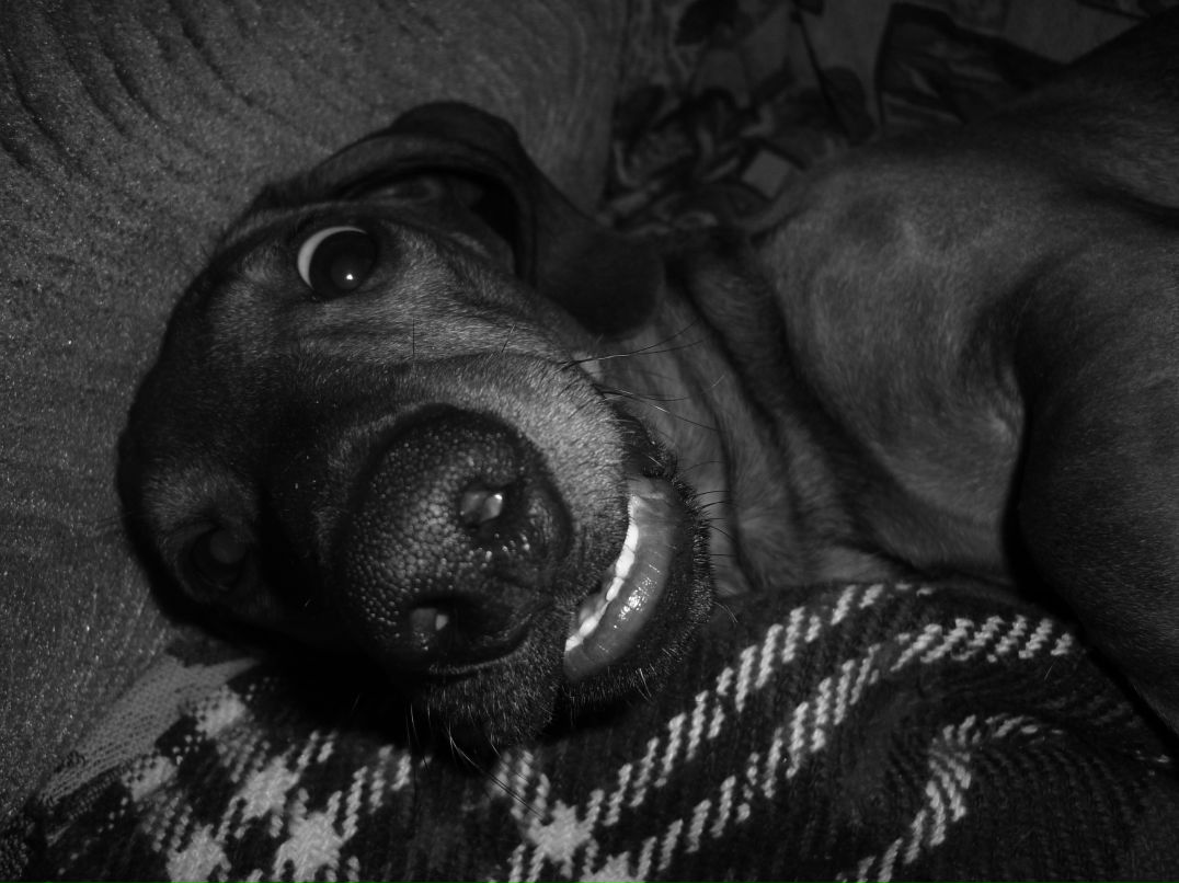 Мария Легкодух | 