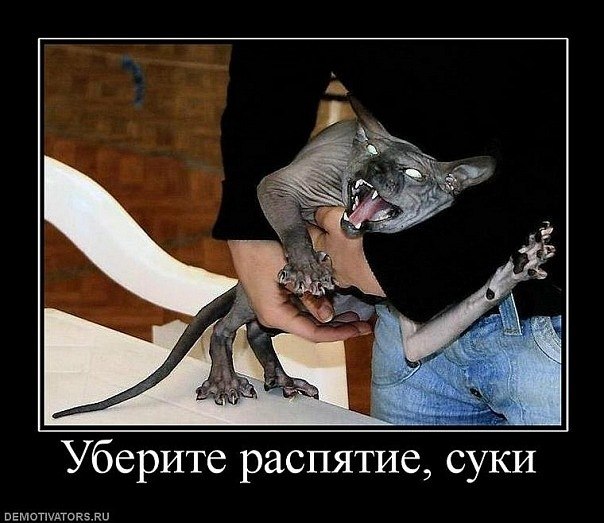 Лёха Андрушков | 