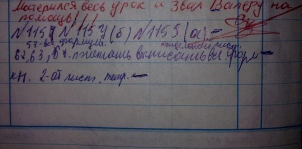Алексей Незабудкин | Санкт-Петербург