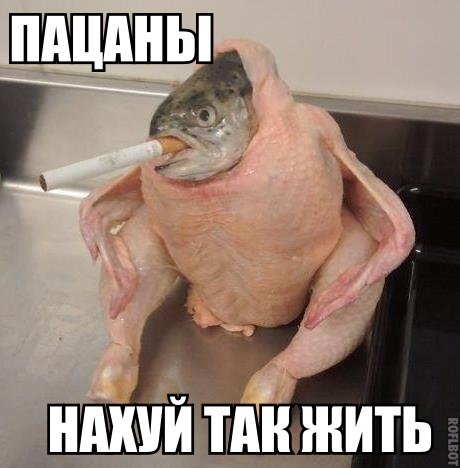 Анита Мумий | Волгоград