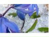 Юлия Кравцова | 