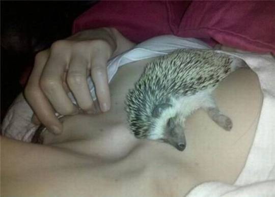 №9, Кирилл Мясников, Подольск №9, Кирилл Мясников, Подольск