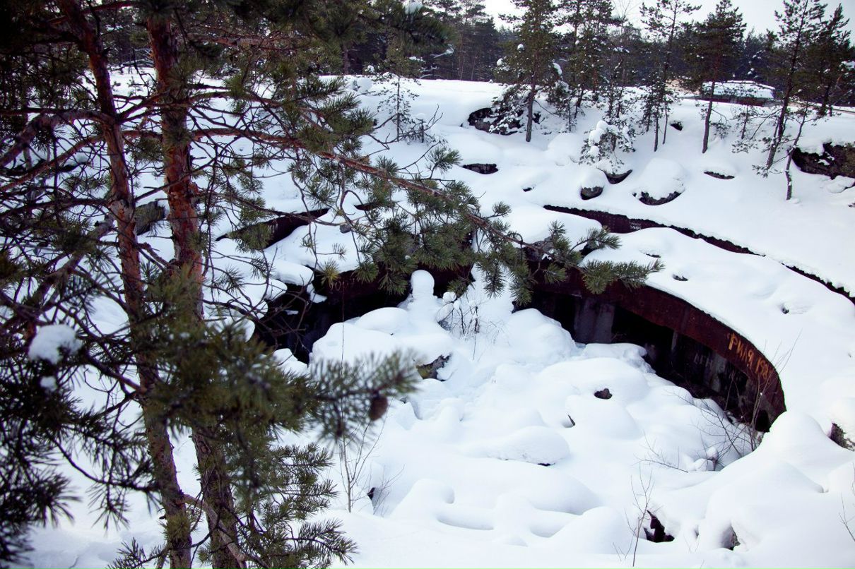 Дмитрий Паппель | Chennai