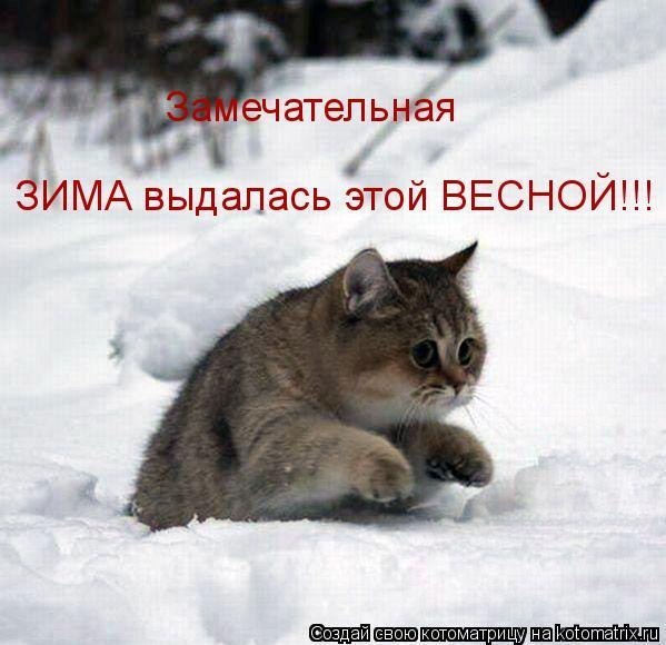 Елена Ватрушкина | Москва