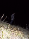 Фотография Царегородцевой Дианы