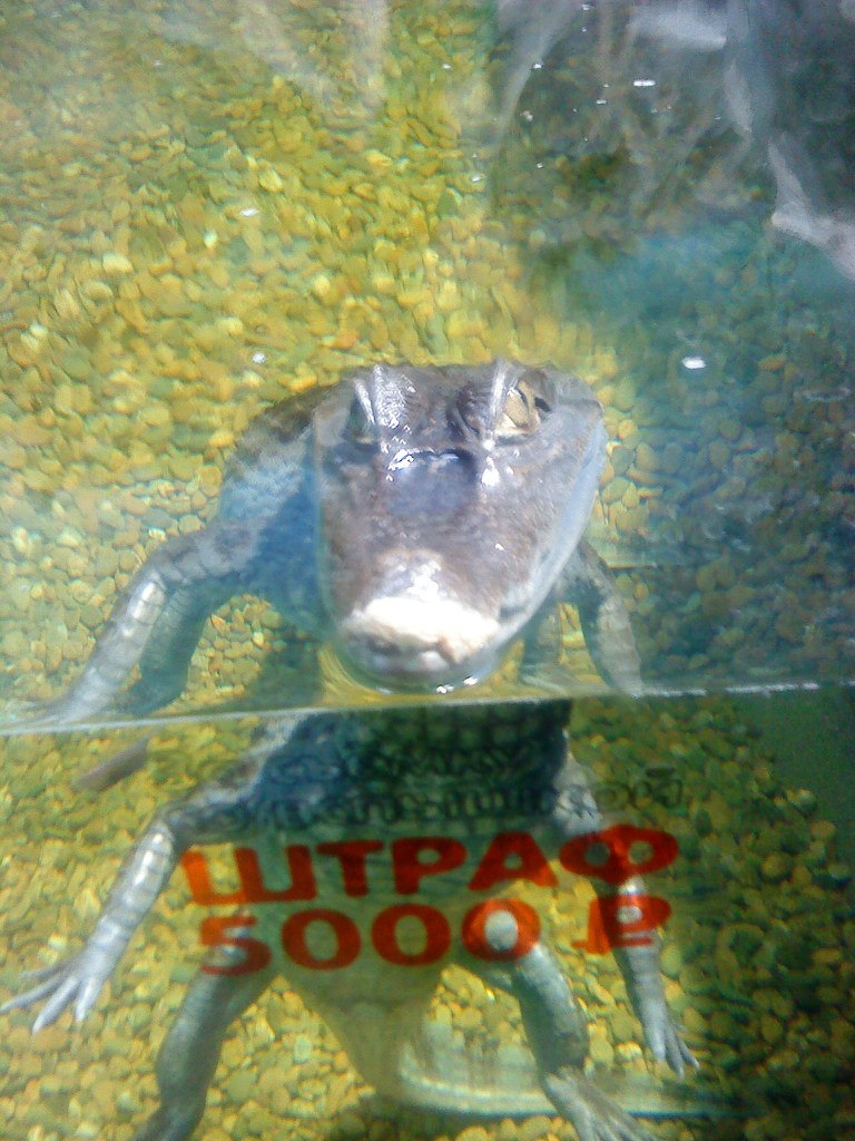 Татьяна Баранихина | Москва