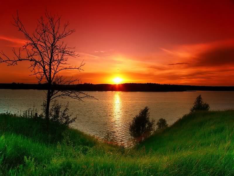 Саша Луцевич | Санкт-Петербург